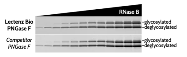 Pngase F Data.png