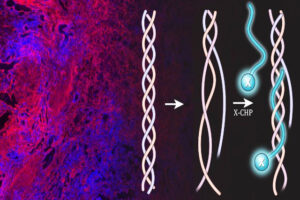 3helix_ECM new research tool